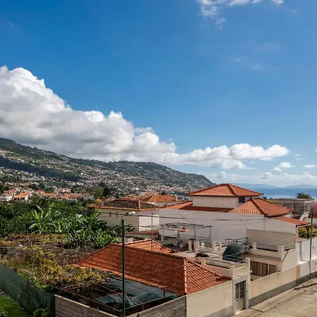 Madalenas Xxi By An Island